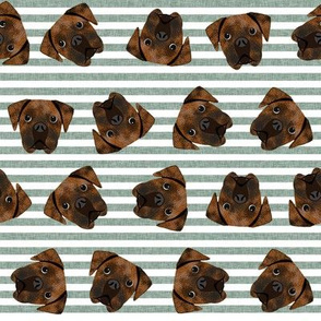brindle boxer dogs fabric - dog fabric, brindle boxer - green stripes