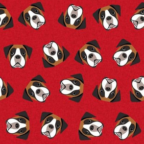 fawn boxer dog - boxer dog fabric, dog fabric - red