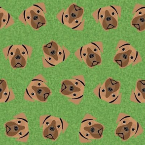 fawn boxer dog - dog fabric, boxer dog fabric - green