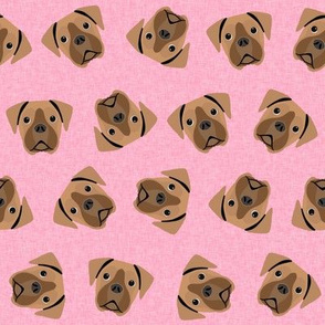 fawn boxer dog - dog fabric, boxer dog fabric - pink