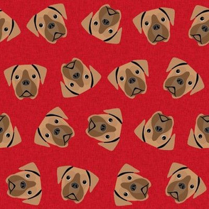 fawn boxer dog - dog fabric, boxer dog fabric - red