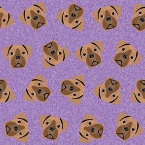 fawn boxer dog - dog fabric, boxer dog fabric - purple