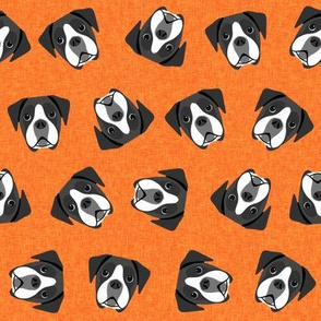 black and white boxer dog fabric - dog face, - orange