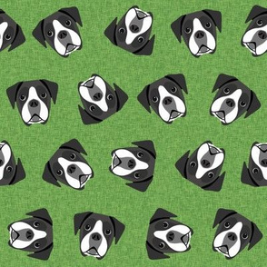 black and white boxer dog fabric - dog face, - green