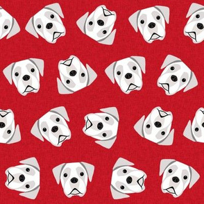 white boxer dog fabric - boxer dog, dog fabric - red