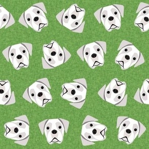 white boxer dog fabric - boxer dog, dog fabric - green