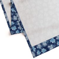 Denim Stars Tie Dye