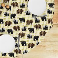Bears with Yellow Ink on White background