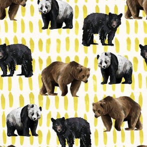 Bears with Yellow Ink on White background