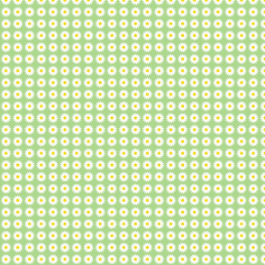 SWEET DAISY green background