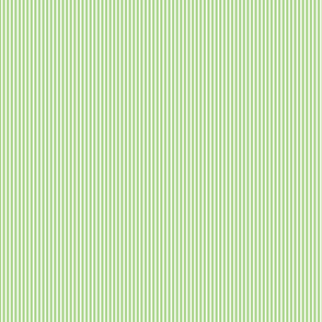 TINY STRIPES green