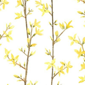 Forsythia Stripe