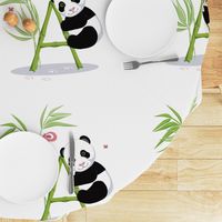 The letter A and Panda, white background