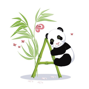 The letter A and Panda, white background