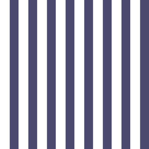purple white stripe