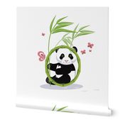 The letter O and Panda, white background