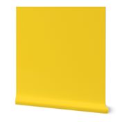 Solid bright yellow 10