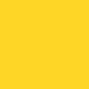 Solid bright yellow 10