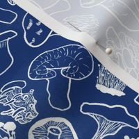 Mushroom Shibori