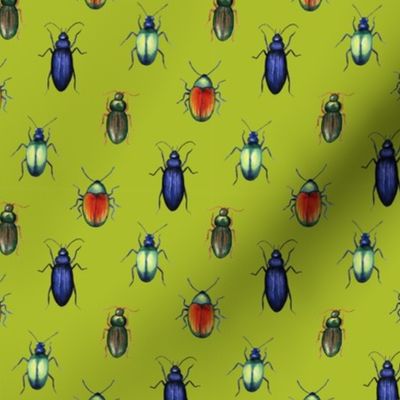 beetles (medium scale, lime green)