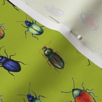 beetles (medium scale, lime green)