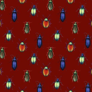 beetles (medium scale, red)