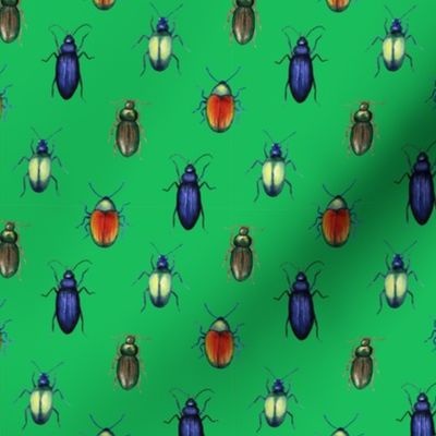 beetles (medium scale, green)