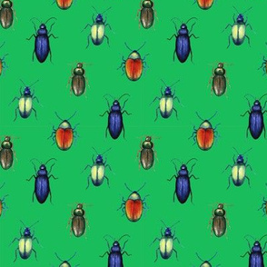 beetles (medium scale, green)