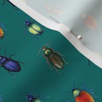 beetles (medium scale, teal)