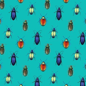 beetles (medium scale, turquoise)