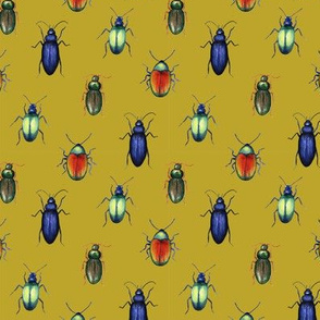 beetles (medium scale, mustard yellow)