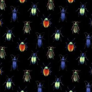 beetles (medium scale, black)