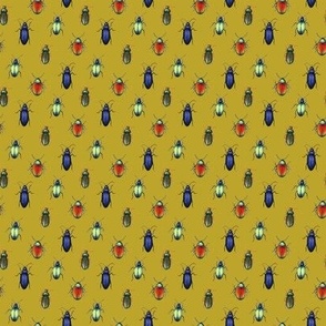 beetles (small scale, mustard yellow)