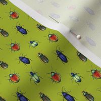 beetles (small scale, lime green)