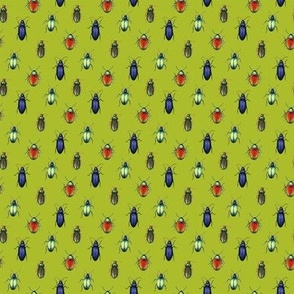 beetles (small scale, lime green)