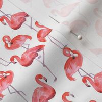 flamingo (small scale)
