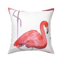 flamingo (large scale)