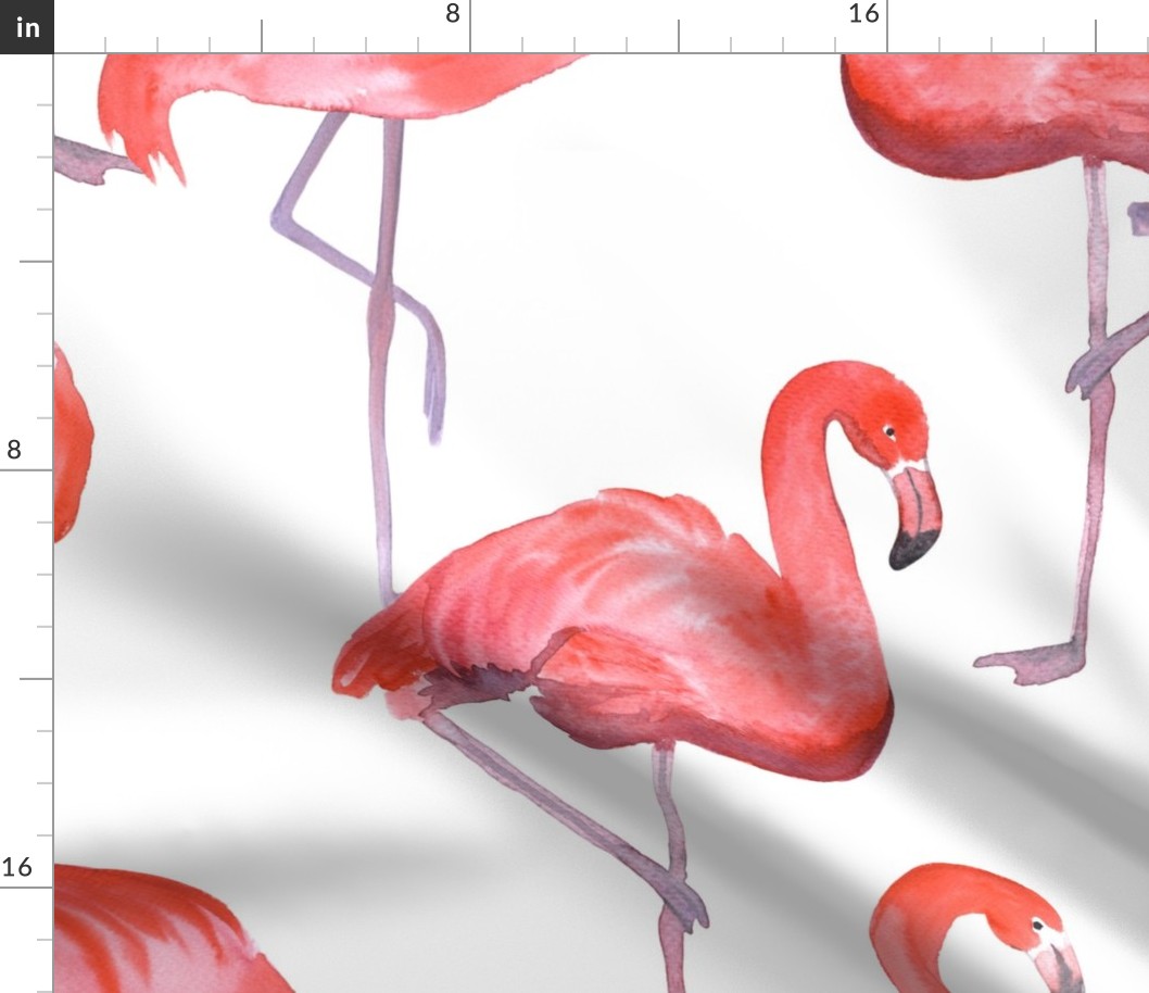 flamingo (large scale)