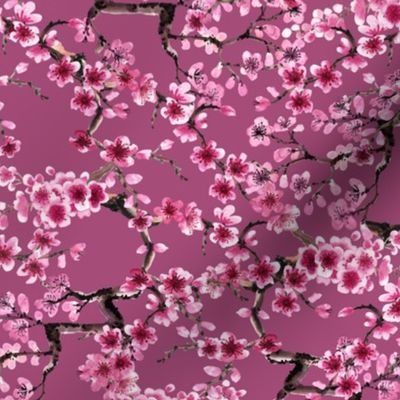 sakura pink (medium scale)
