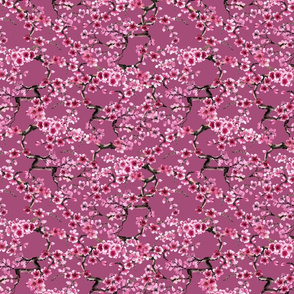 sakura pink (medium scale)