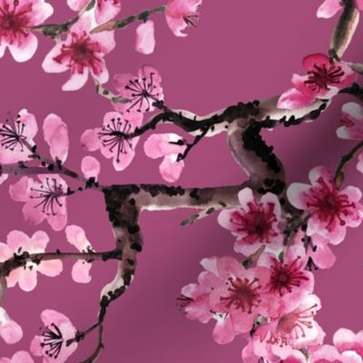 sakura pink (large scale)