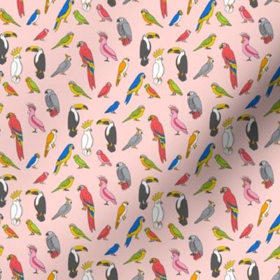 SMALL  parrot // tropical rainforest bird fabric parrots blush