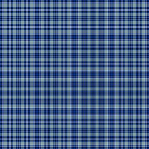 Blue Silver White Small Scale Plaid 