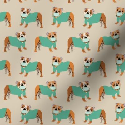 english bulldog scrubs fabric - medical, nurse fabric - dogs fabric, bulldog nurse - sand