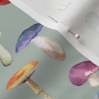 Watercolor Mushrooms // Powder Ash