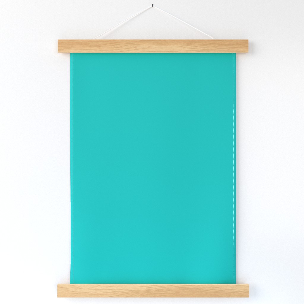 Cool Teal Solid color 01bab4