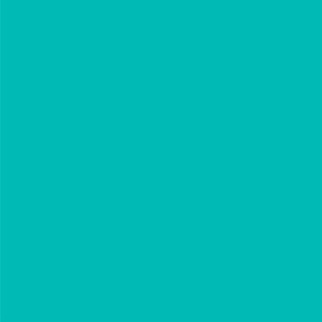 Cool Teal Solid color 01bab4