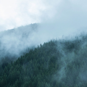 1 yard Tapestry Foggy Trees on Mt. Hood Oregon Horizontal Wall hanging