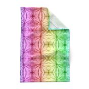 Tie Dye Ombre Rainbow