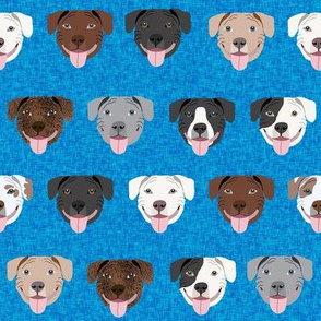 happy pitbull fabric - cute pitbulls design , dog fabric - bright blue